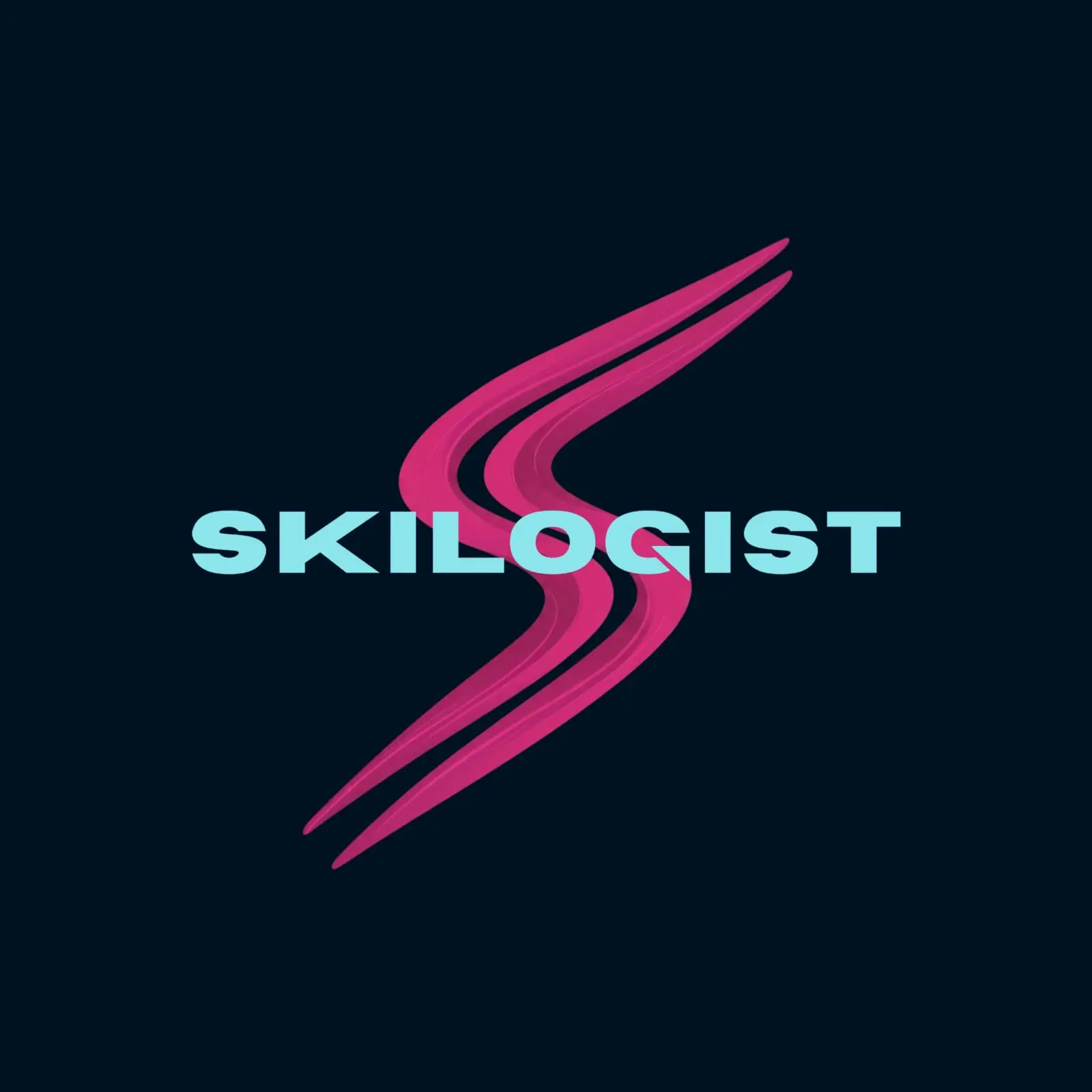 Imagen de SKILOGIST